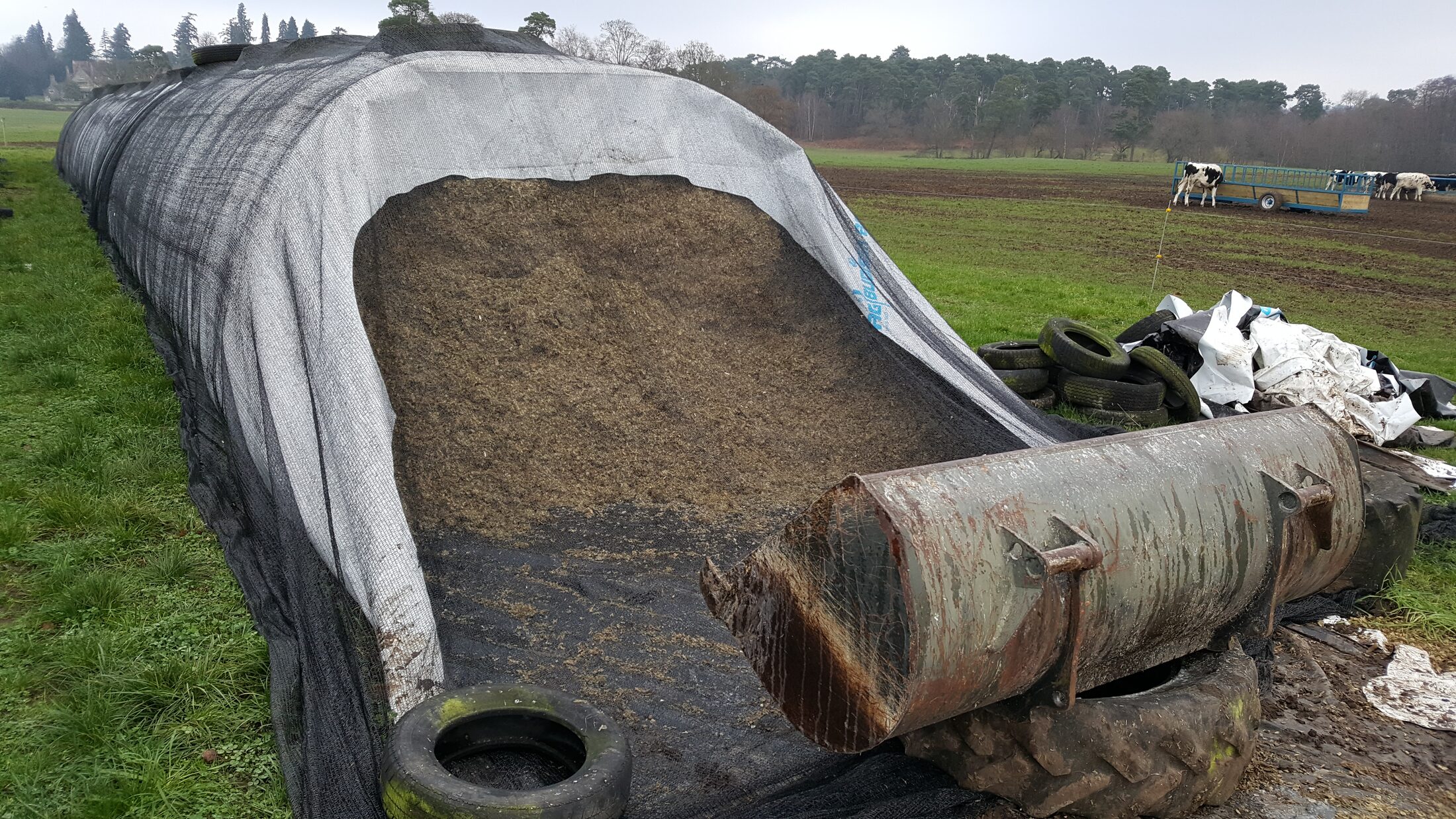 Covered silage clamp used alongside AgBag storage